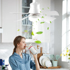 Led sijalica sa ventilatorom i daljinskim upravljacem