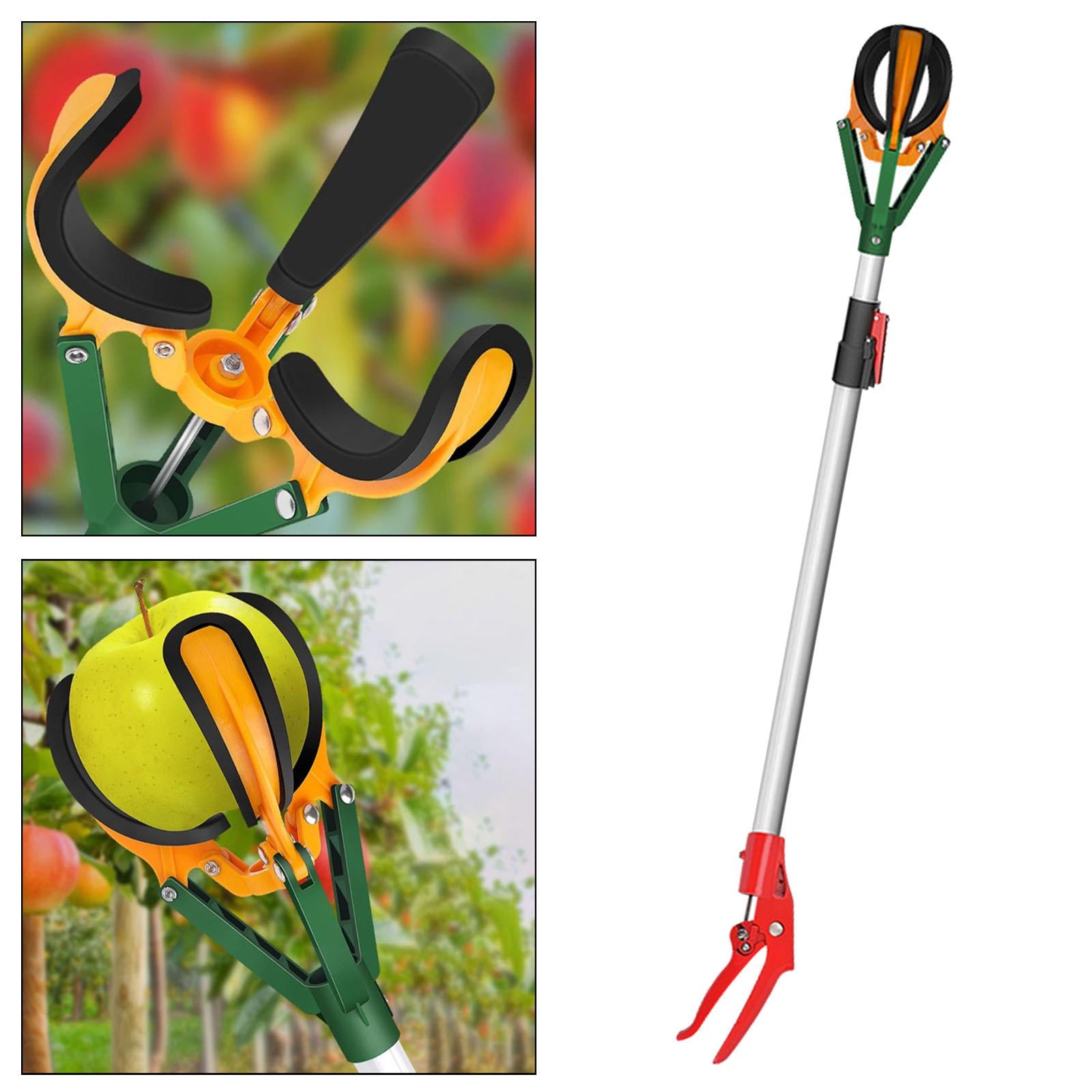 Teleskopski berač voća 3m – Profesionalni alat za branje voća sa visine bez merdevina