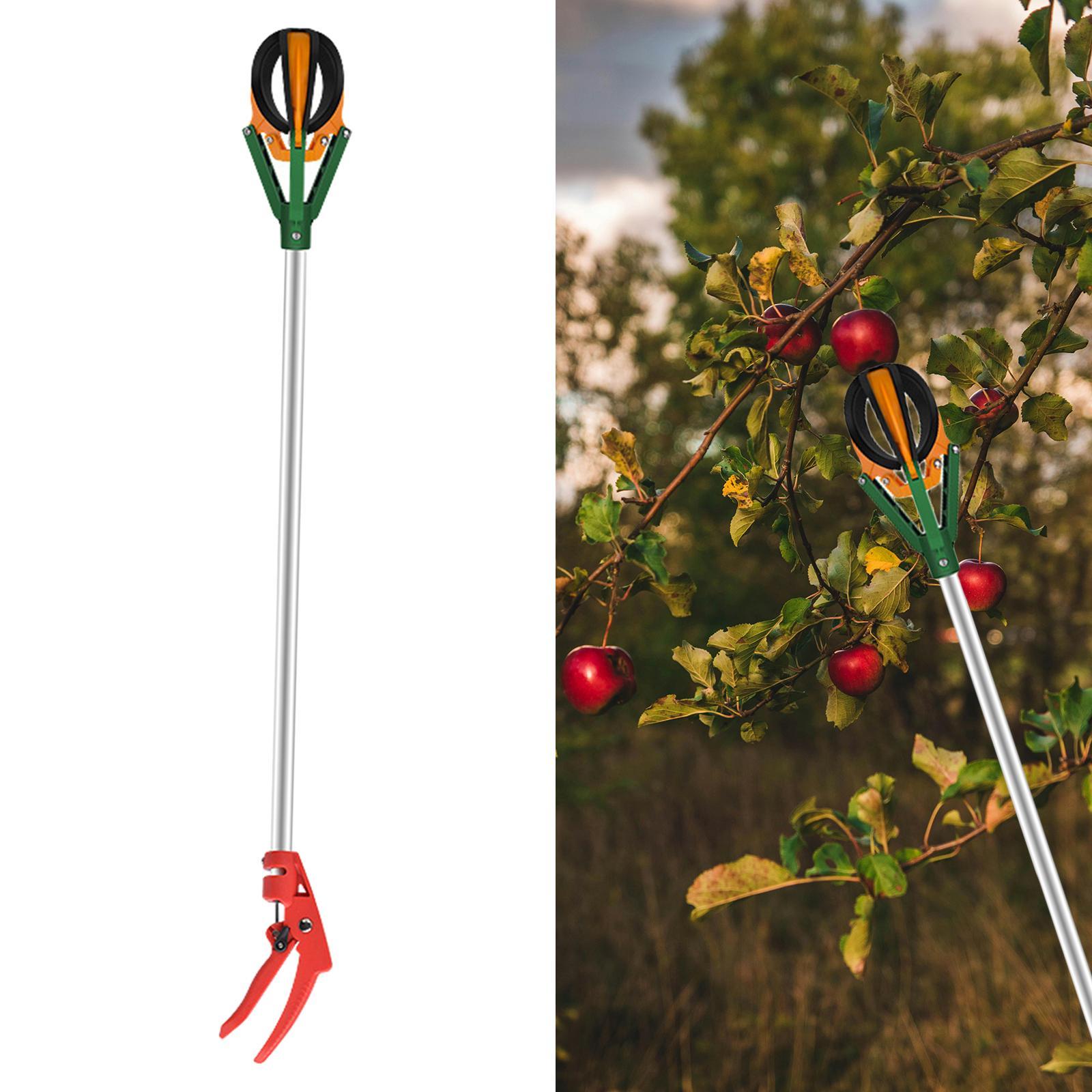 Teleskopski berač voća 3m – Profesionalni alat za branje voća sa visine bez merdevina