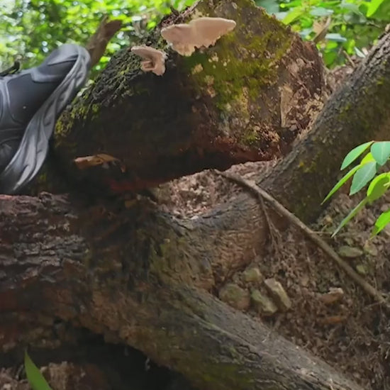 Aku Motorna Testera 12 Inca